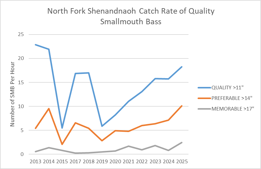 Line chart of North Fork Shenandoah River quality smallmouth bass catch rates by year.