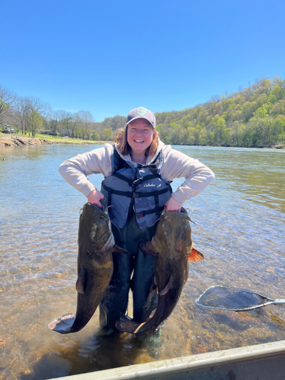 Angler standing in shallow river water and holding two large catfish on the Upper New River.