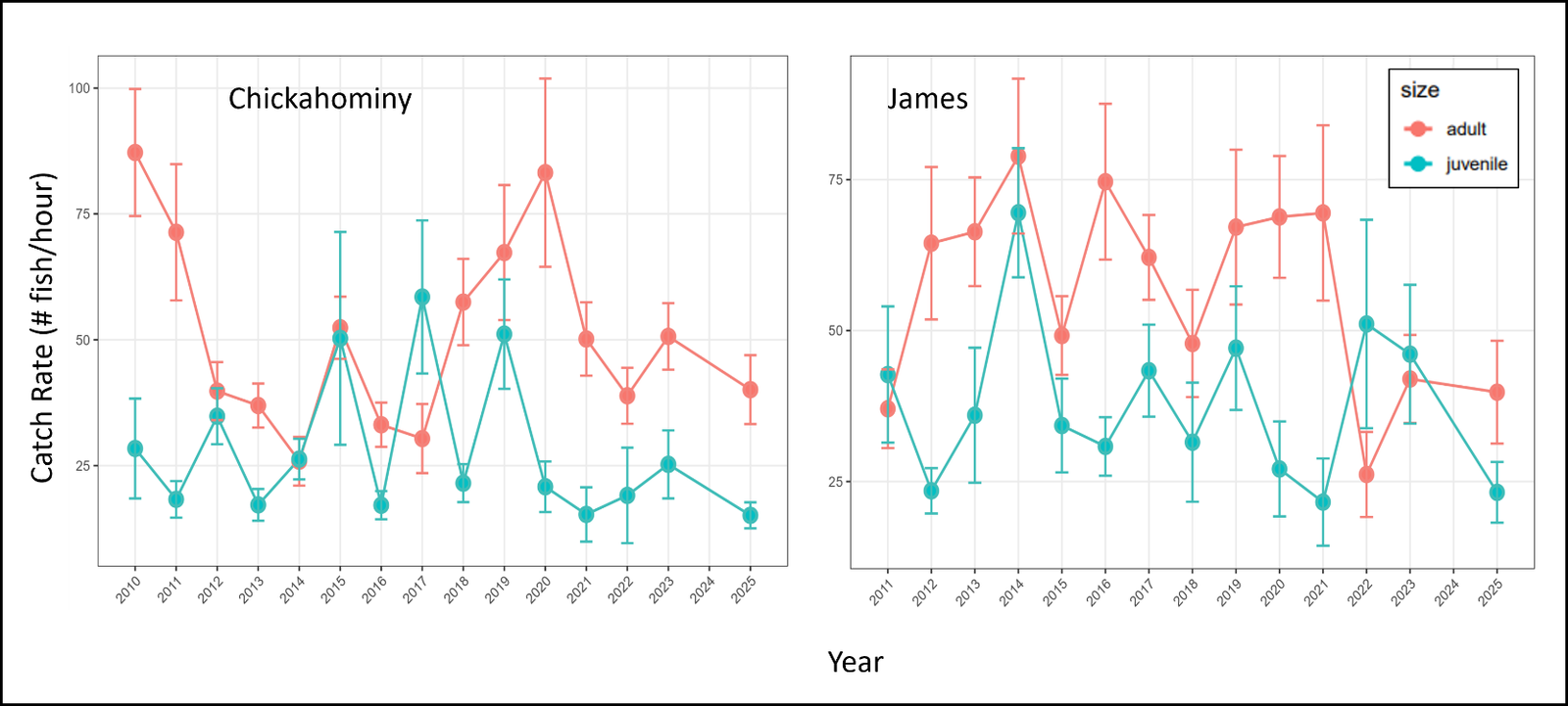 Chart showing adult and juvenile largemouth bass catch rates in the James and Chickahominy rivers since 2010.