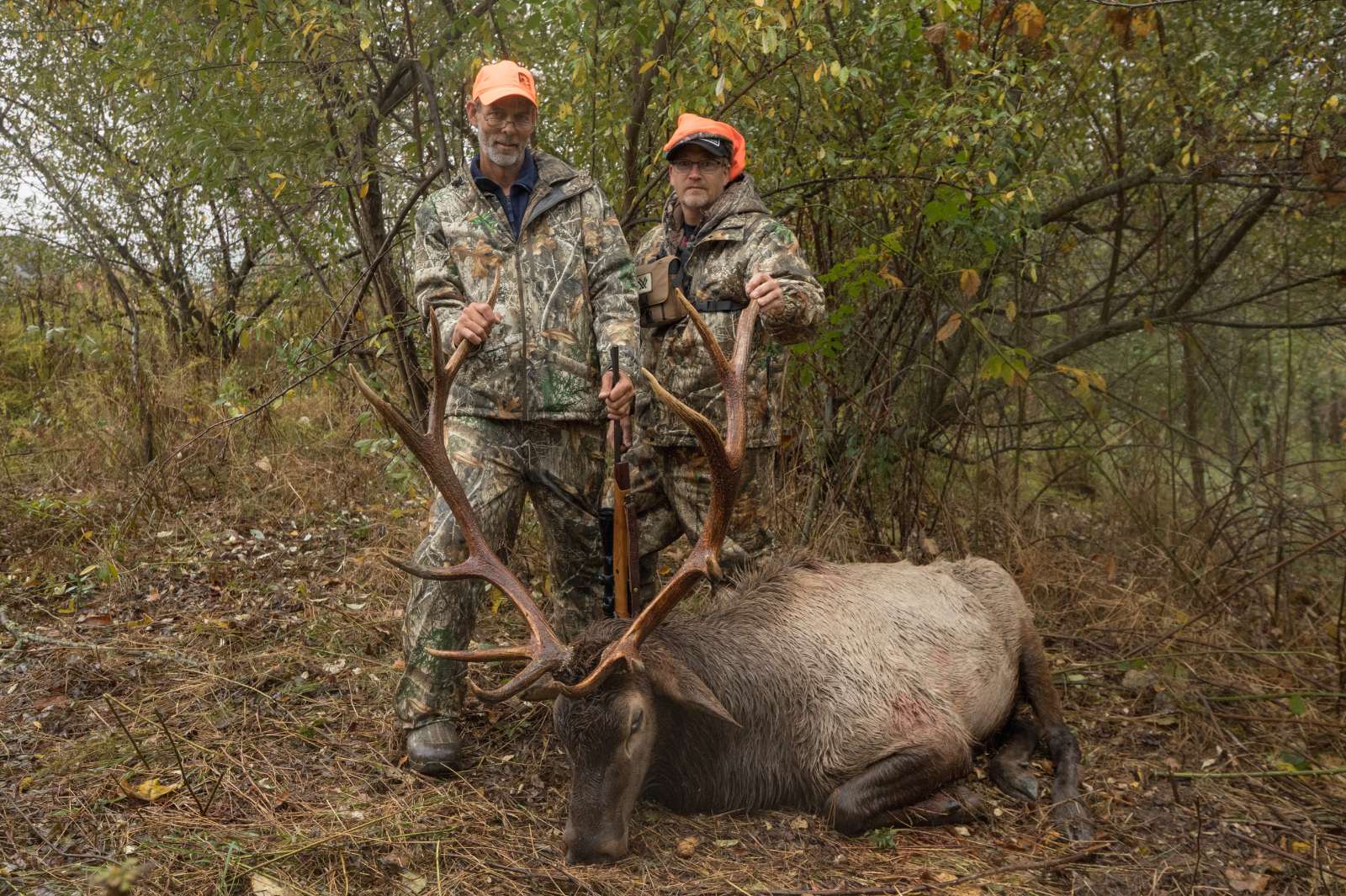 A photo taken in the nighttime of two hunters in camoflague and blaze orange posing with a large bull elk lying on the ground.