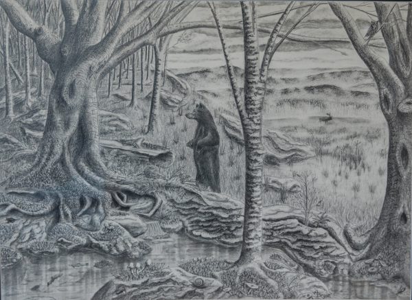 A graphite drawing of a bead in the woods as the What Restore the Wild Means to Me category winner