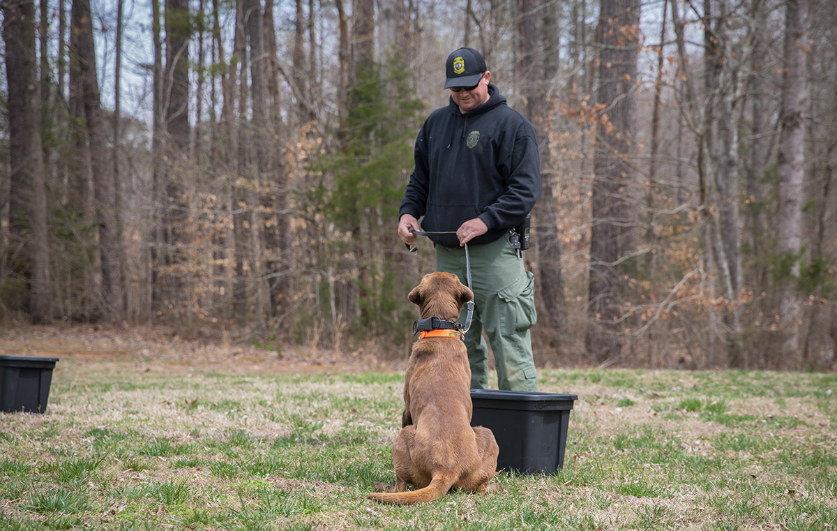 K9 Reese sits to alert her handler, CPO Ian Ostlund, that she'd detected wildlife meat in the container.
