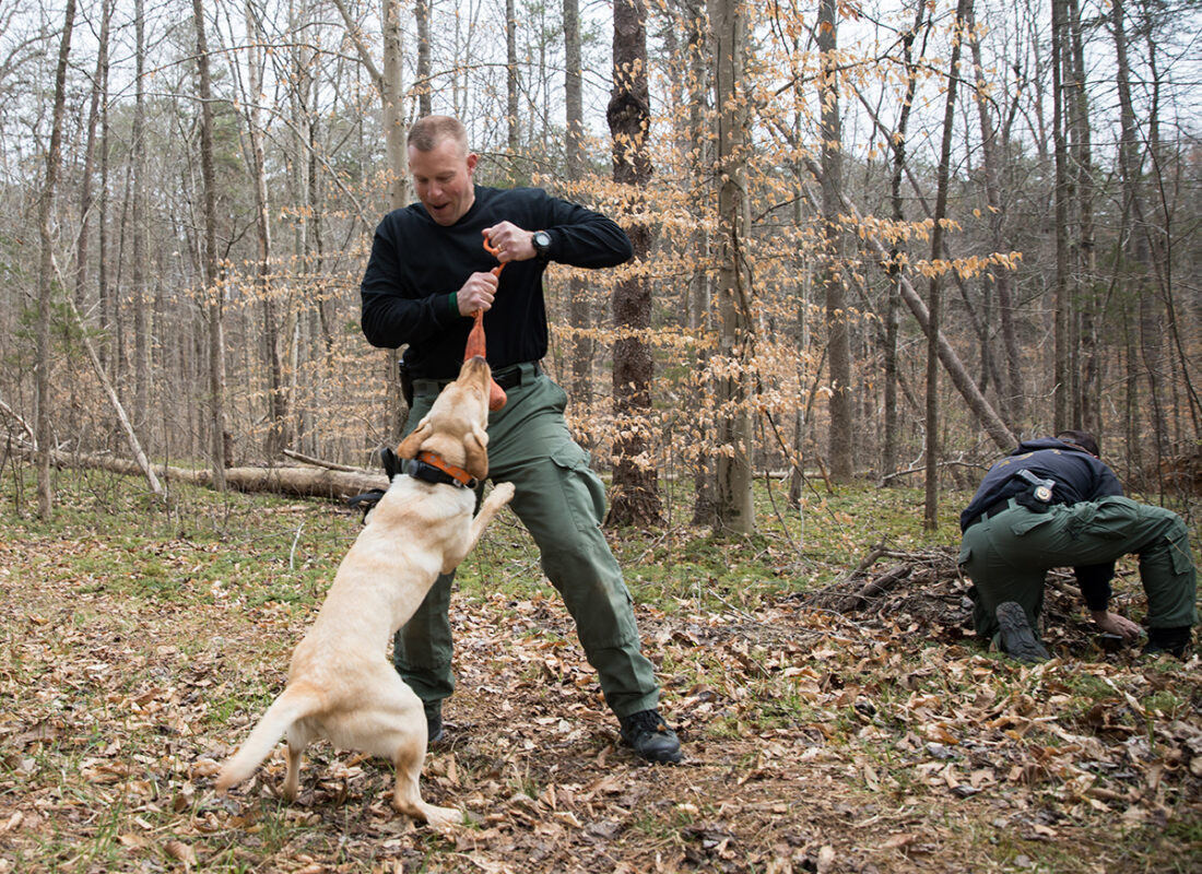 Master CPO Mark Diluigi rewards Lily with play after she successfully found a gun hidden in a pile of sticks and leaves.
