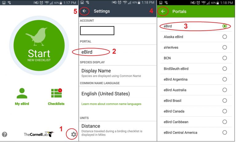 Switching portals on your Smartphone- (1) Click the Settings icon (2) Tap the portal button (3) Select the preferred portal, either ‘regular’ eBird (illustrated) or scrolling down to the VA Breeding Bird Atlas portal.