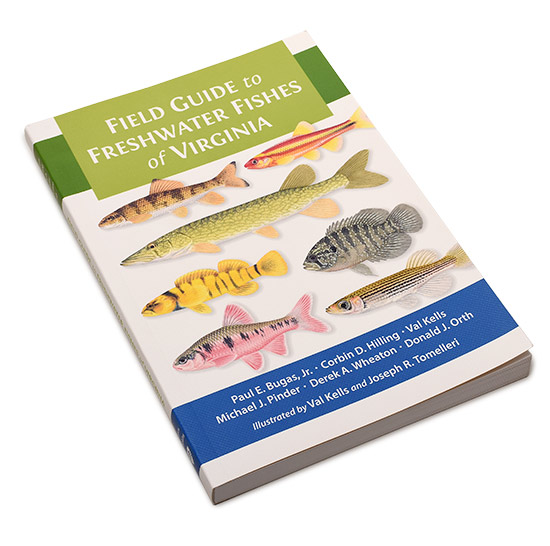 Field Guide to Freshwater Fishes of Virginia Virginia DWR