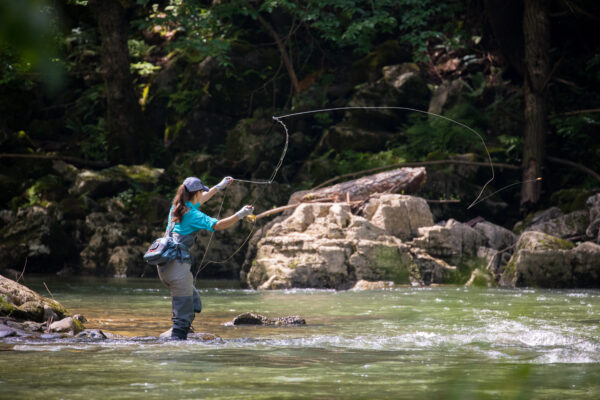 An image of a girl using a large net to fish in a river for trout.