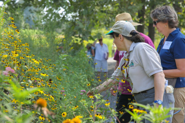 An image of a pollinator garden at Lake Shenandoah containing several people due to a DWR pollinator workshop that was being held there.