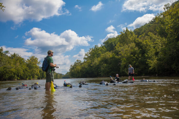 An image of a group of people surveying the Clinch river for mussels