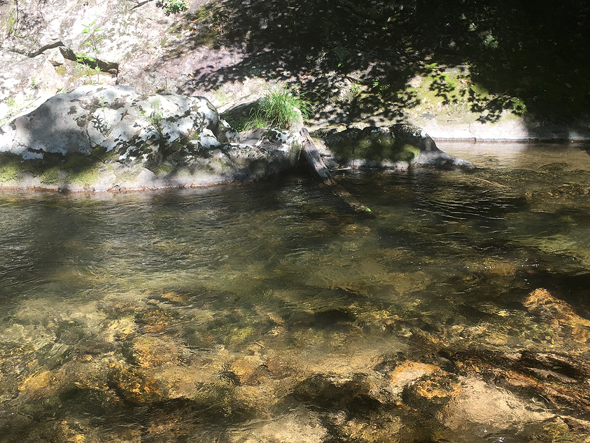 A river dappled with sunlight.