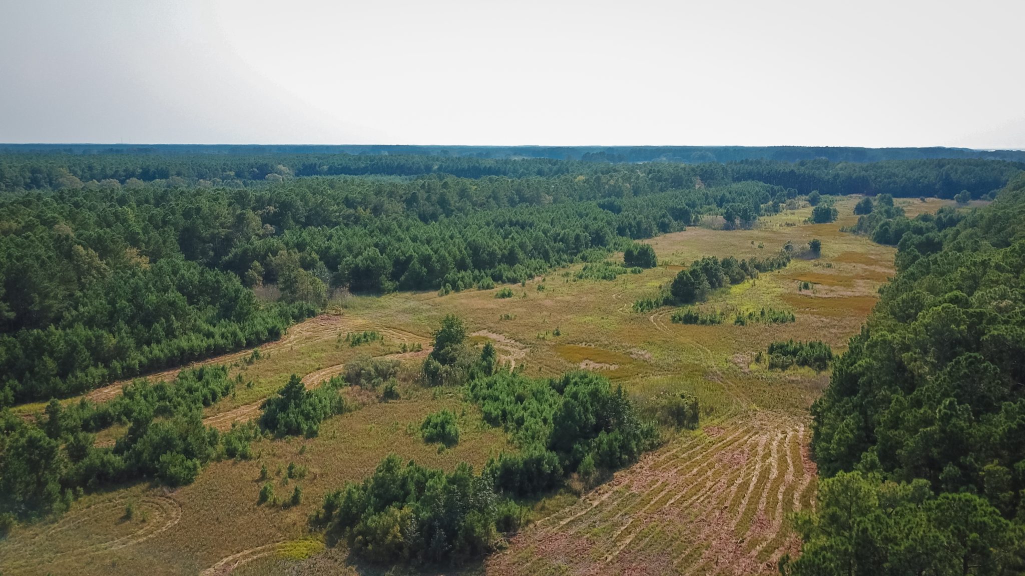 Doe Creek Virginia DWR