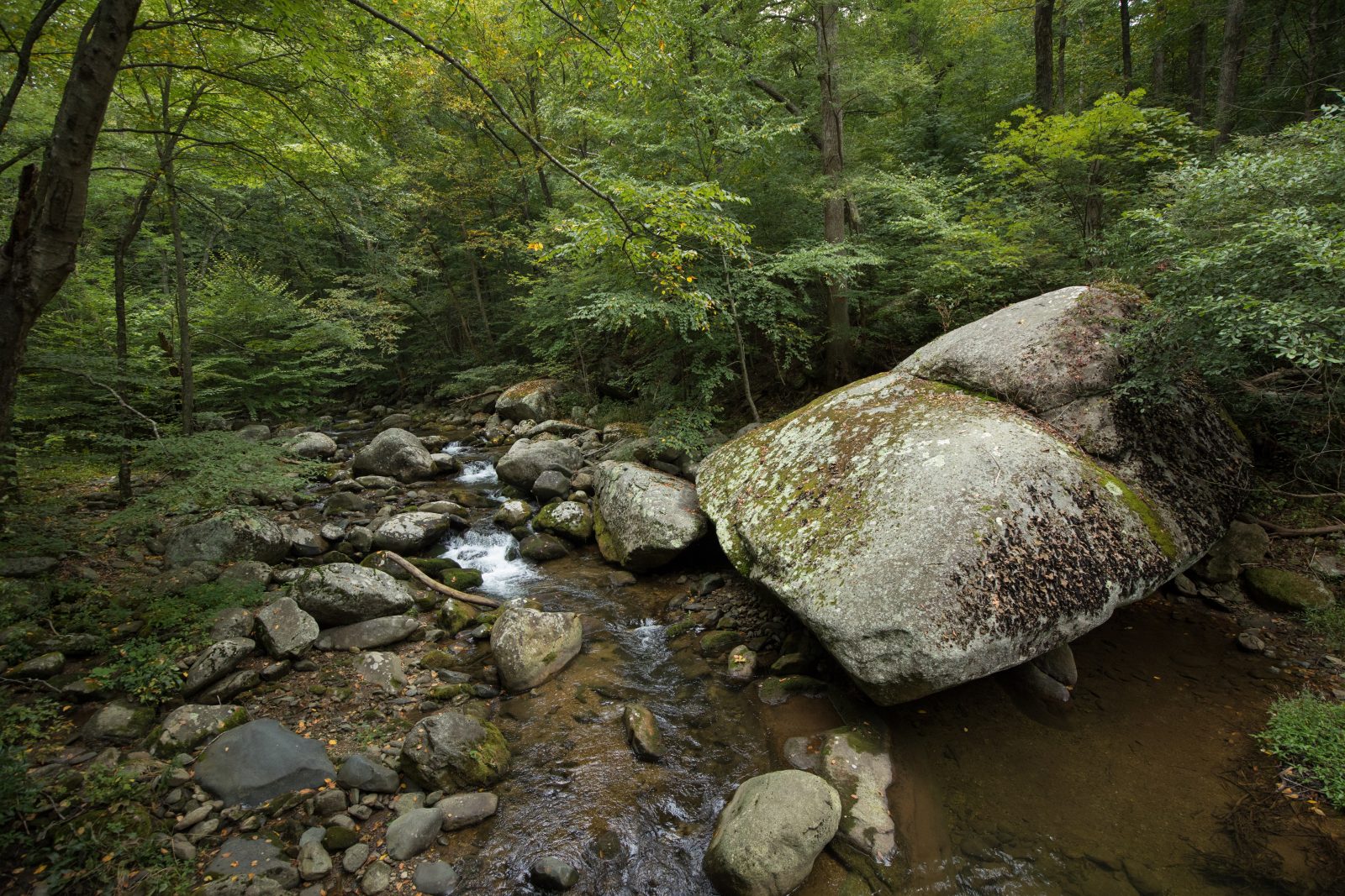 Reminiscences of the Rapidan River - Play Outdoors Now