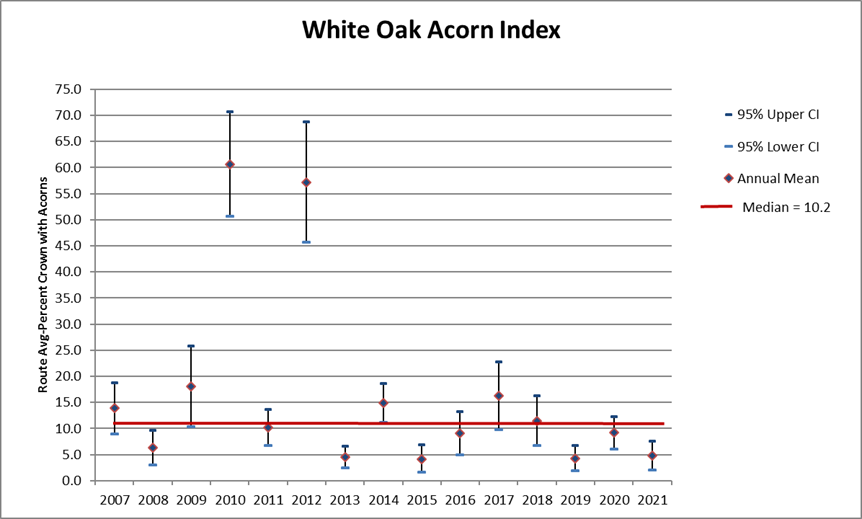 An image of white acorn production over the years from 2007-2021 there is a peak in 2010 and 2012 but otherwise it's been fairly stable possibly trending downwards