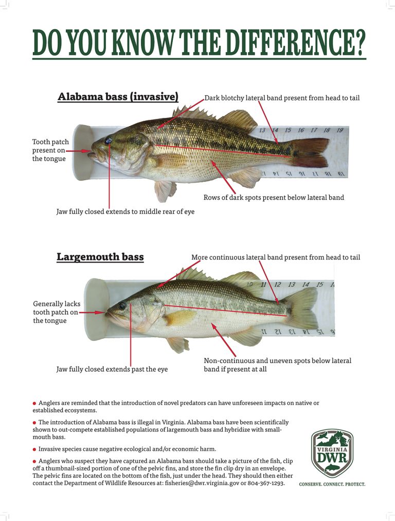 New Regulations, An Essential Partnership, and Call to Action Aim to Prevent the Spread of