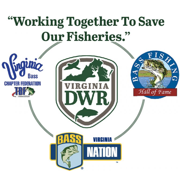 New Regulations, An Essential Partnership, and Call to Action Aim to