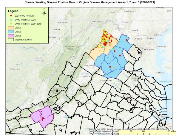 Tracking Chronic Wasting Disease in Virginia | Virginia DWR
