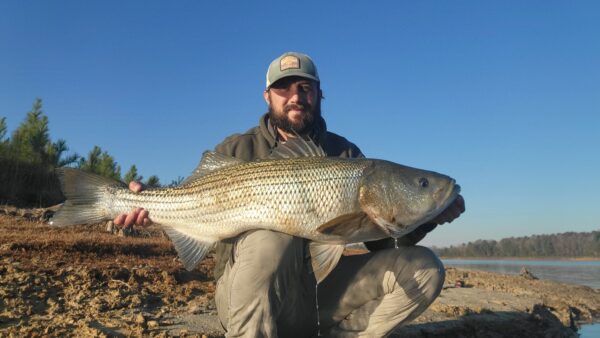 Angler Derek Merricks posing with a striped bass. he caught at Little Creek Reservoir.