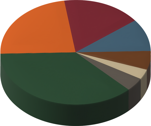 A pie chart showing DWR’s revenue sources