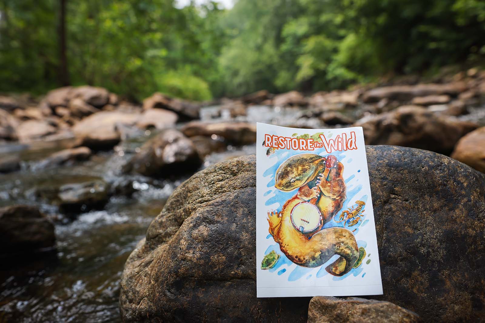 A Restore the Wild sticker, featuring a hellbender playing a banjo, resting on rocks in a river