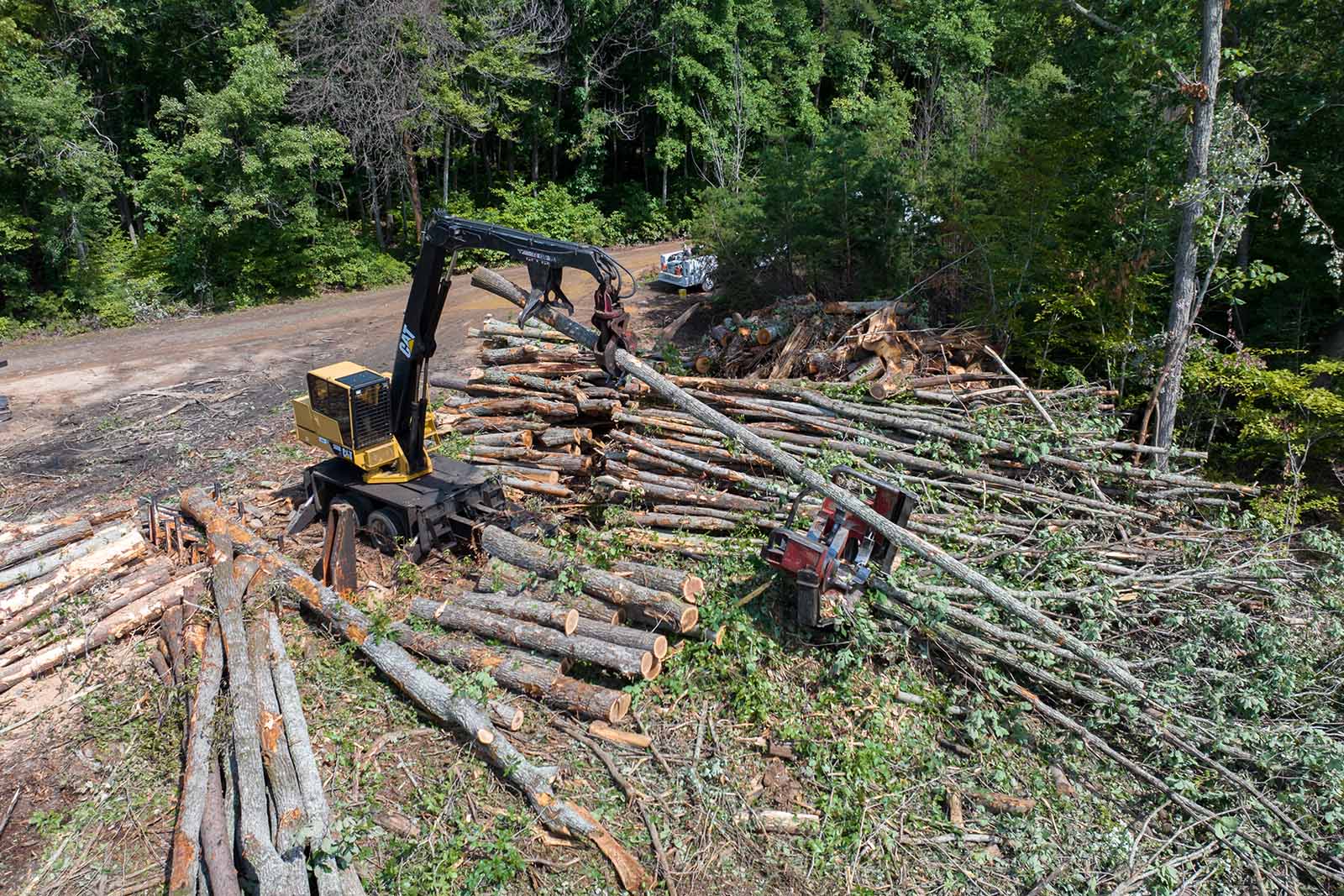 Action Planning for WMAs