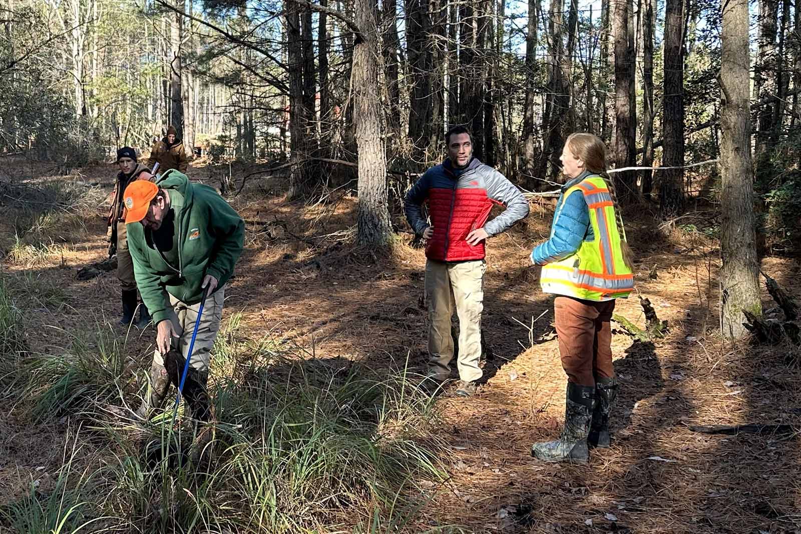 Evaluating Impacts on Wildlife