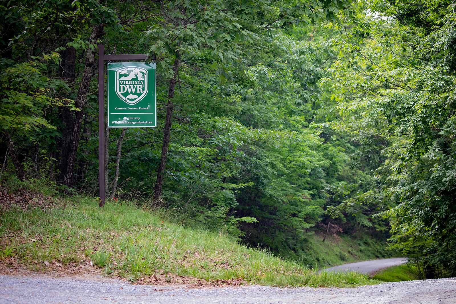 How We’re Funded and How We Spend