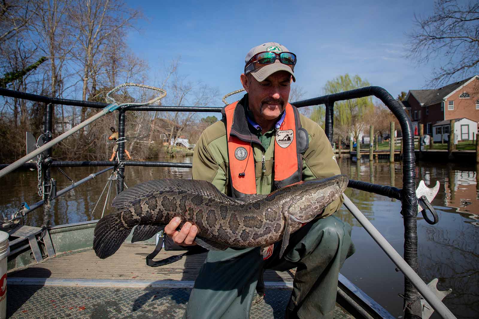 Invasive Species Researched