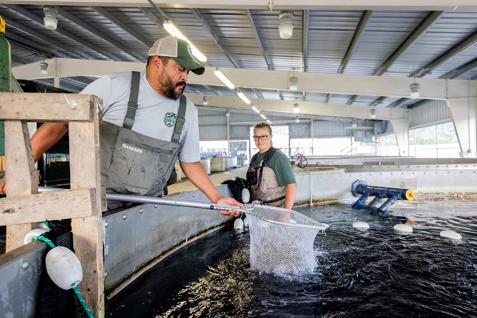 Millions of Fish Stocked