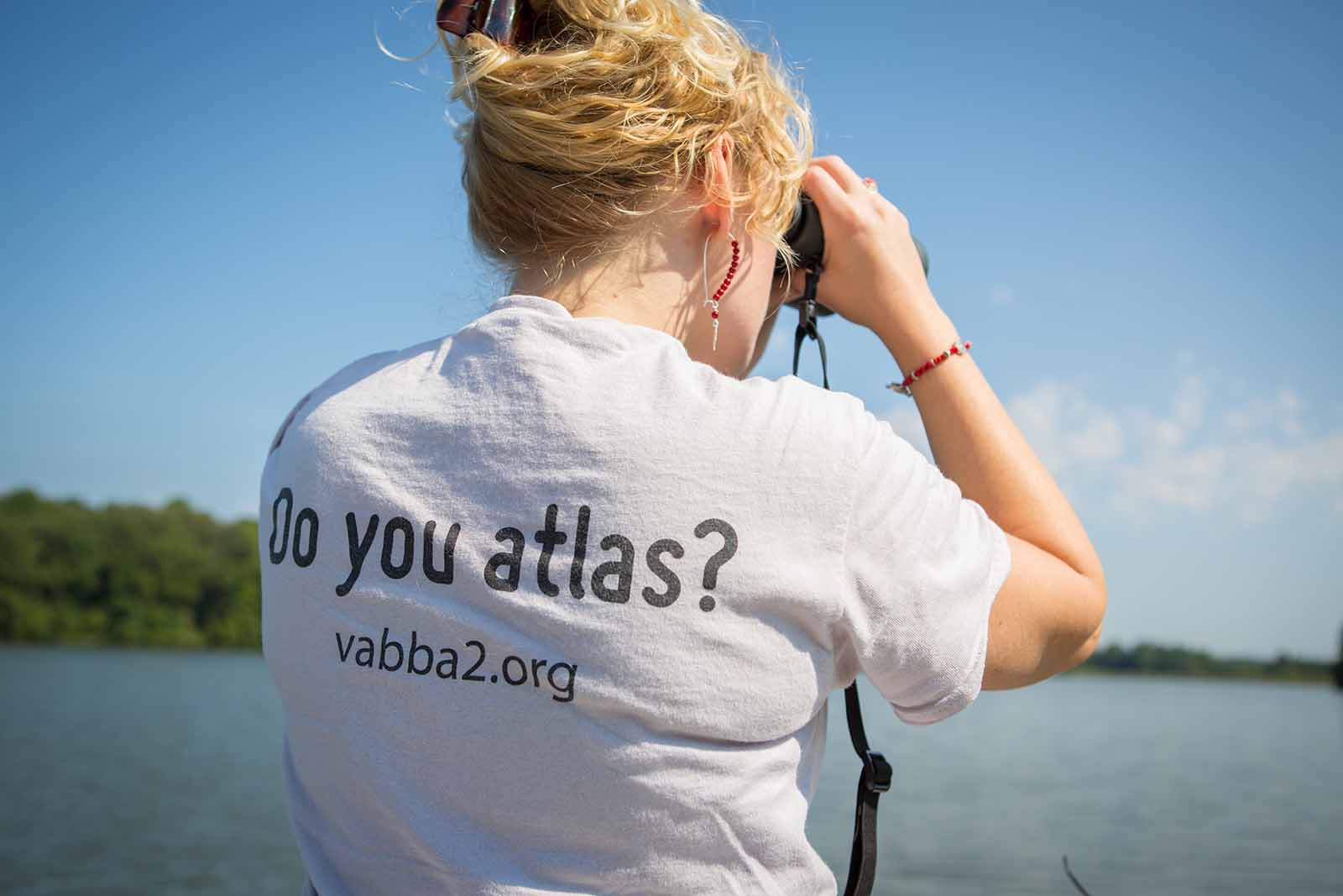 Second Breeding Bird Atlas Completed