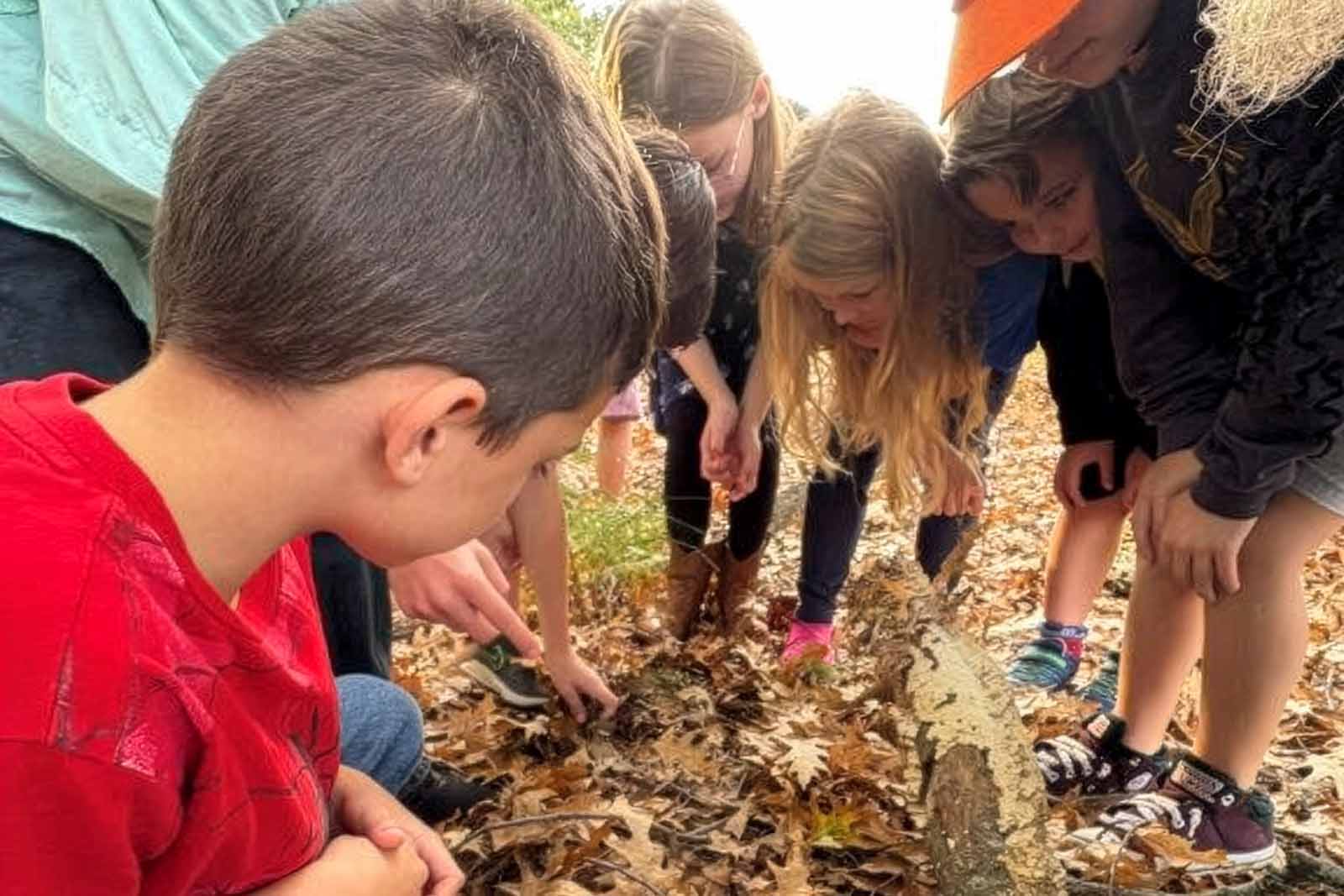 Record Year for Virginia Naturally Schools