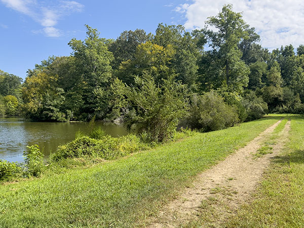 The berm is a good place to check the water hazards for winter waterfowl and summer dragonflies. Photo Credit: Lisa Mease