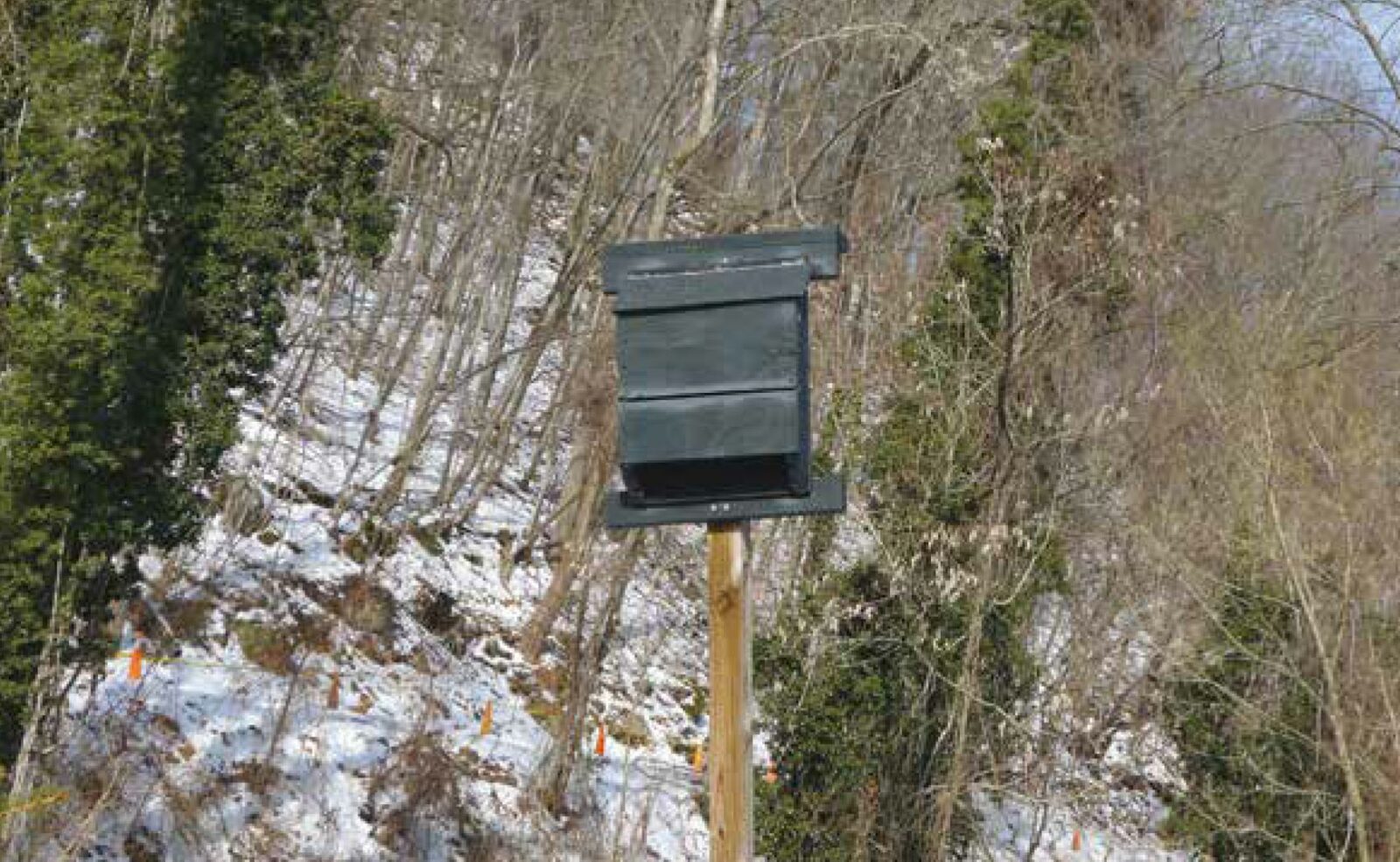 An image of a small black bat box upon a pole near a mountain, this box can house up to 100 bats despite it's minimal size.
