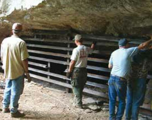 A metal barrier placed at a cave's entrance to prevent human interference and allow for the bat colony to thrive