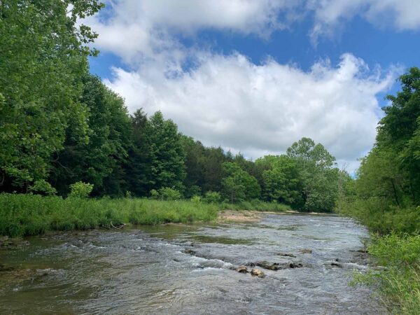 A view of a creek containing flat rocks and bordered by trees.