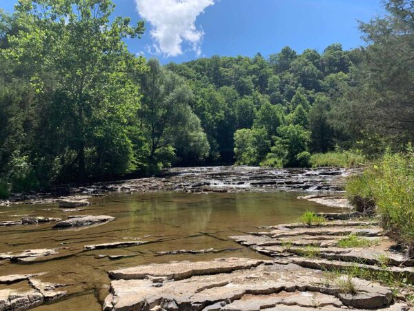 A view of a creek containing flat rocks and bordered by trees.