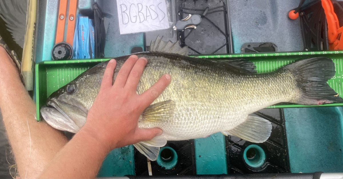 Last night we caught a sun fish and a large mouth bass with that