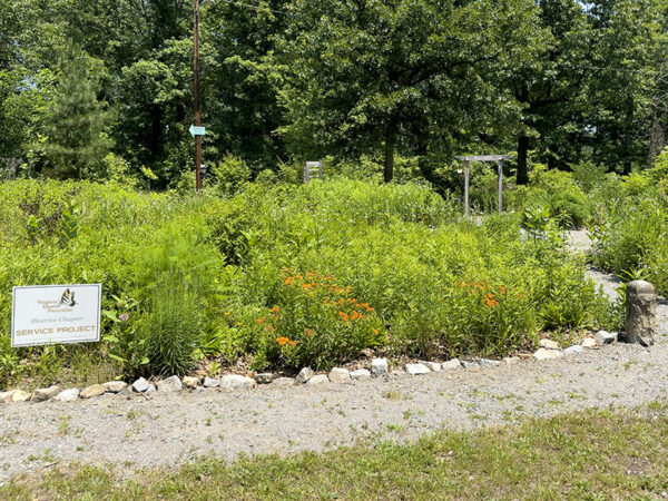 The pollinator garden is in a quiet section of the park.