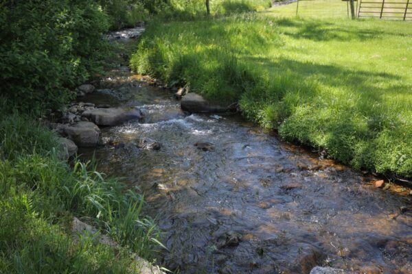 Upstream view of a creek surrounded by green grass on the slopes on either side.