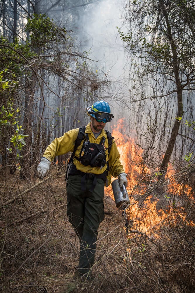 An image of a DWR employee applying a drip torch to the land to spread the prescribed fire