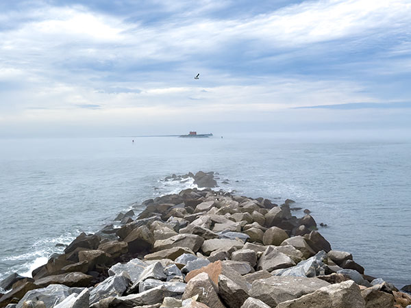 The jetties and rocks surrounding the 4th island are a gathering place for gulls, brown pelicans, and overwinter purple sandpipers. Photo Credit: Lisa Mease