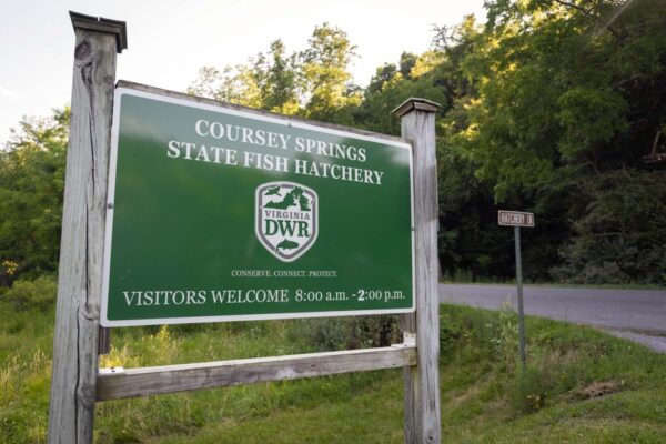 The Coursey Springs Fish Hatchery welcome sign
