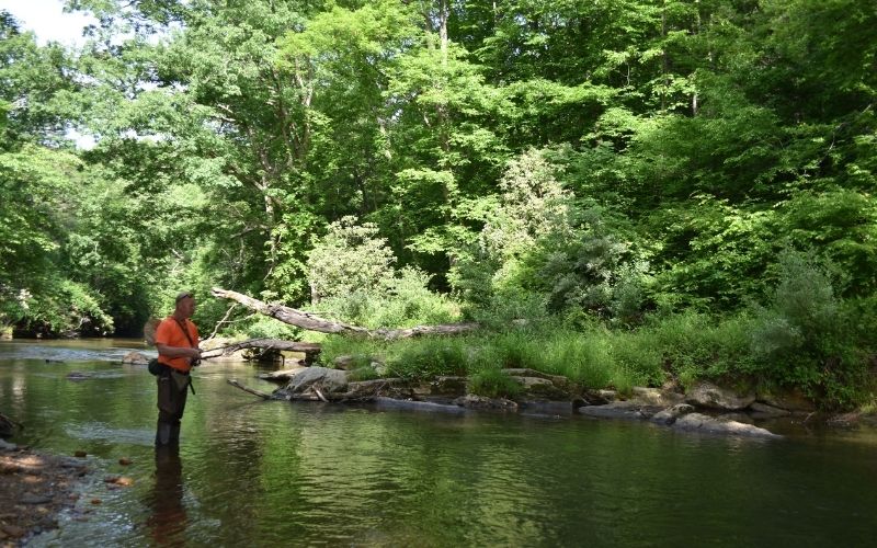 Try Crooked Creek WMA's Fee Fishing Area for Summer Trout