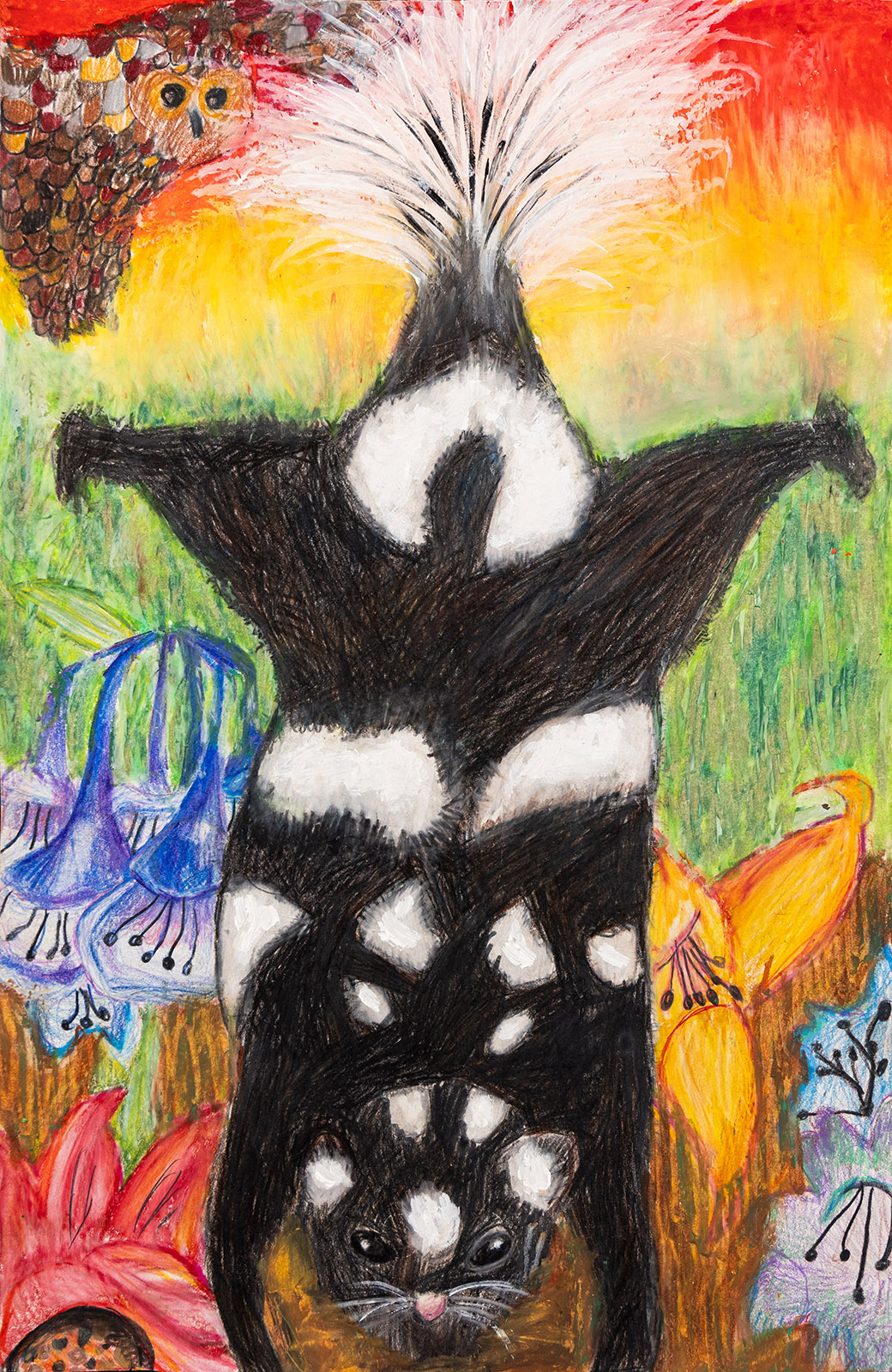 A bright, colorful drawing of a spotted skunk doing a handstand with an owl flying by in one corner and lilies in the bottom corners.