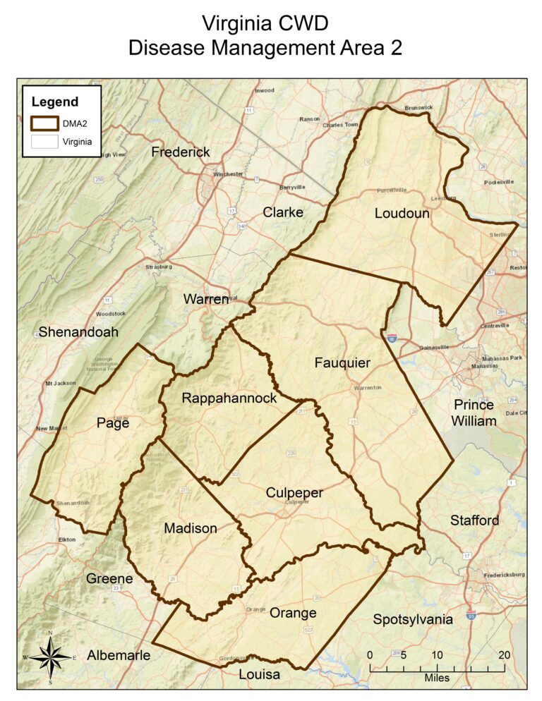 What You Need to Know About Hunting in Disease Management Area 2 Virginia DWR