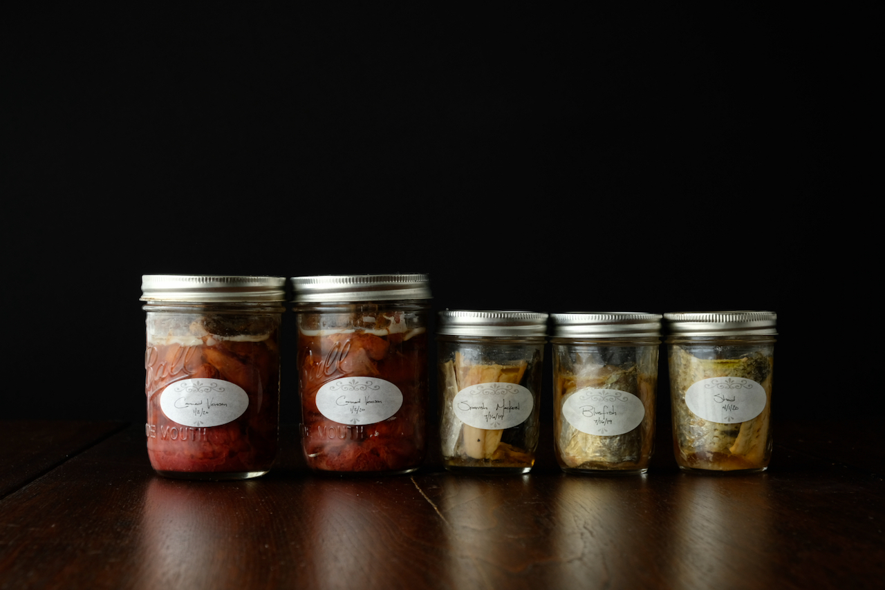 An image of various meat preserves from left to right; venison, Spanish mackerel, bluefish, and shad; the left is the most reddish and the right is the most yellowish. these were preserved via pressure canning