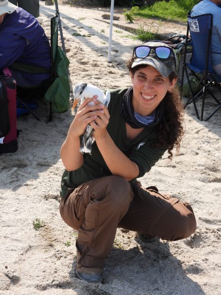 DWR Watchable Wildlife Biologist, Meagan Thomas holding a recently banded royal tern chick prior to its release.