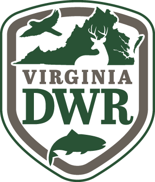 DWR Logo