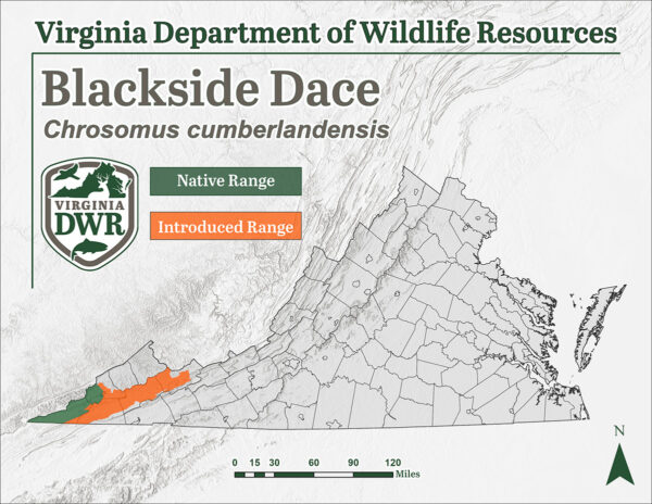 Distribution of Blackside Dace in Virginia