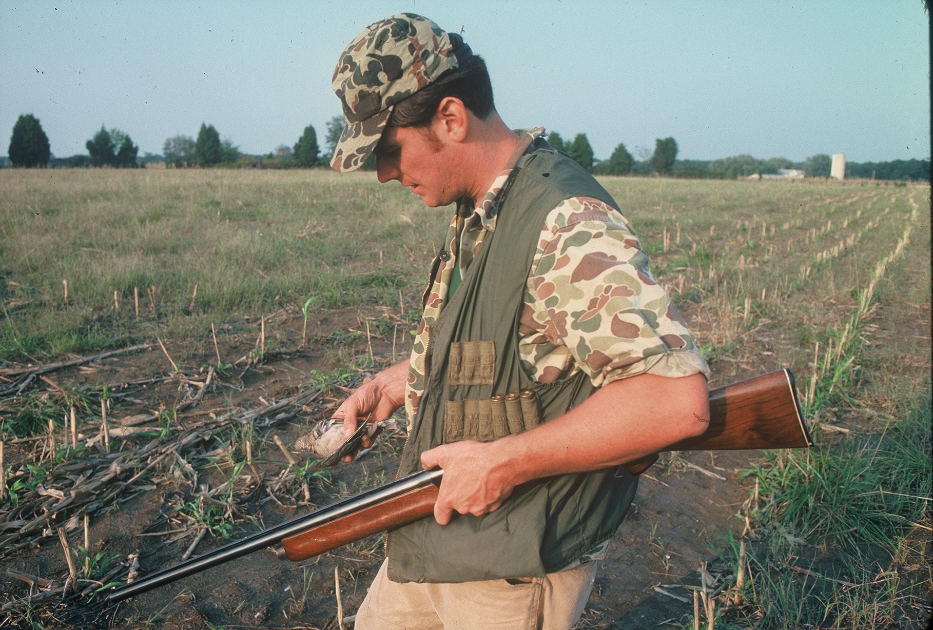 An image of a hunter in camouflage holding a dead dove and a gun