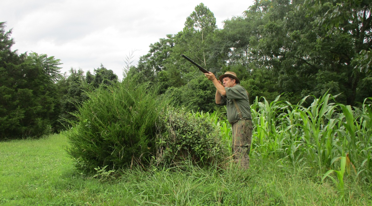 An image of a hunter standing in a thicket aiming a gun at the sky