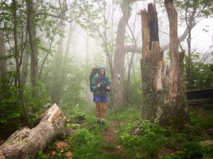 An image of a hiker on the Appalachian trail